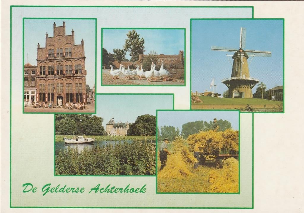 GELDERSE ACHTERHOEK Gevel Kasteel Ganzen Oogst Molen, Verzenden, 1980 tot heden, Ongelopen, Gelderland