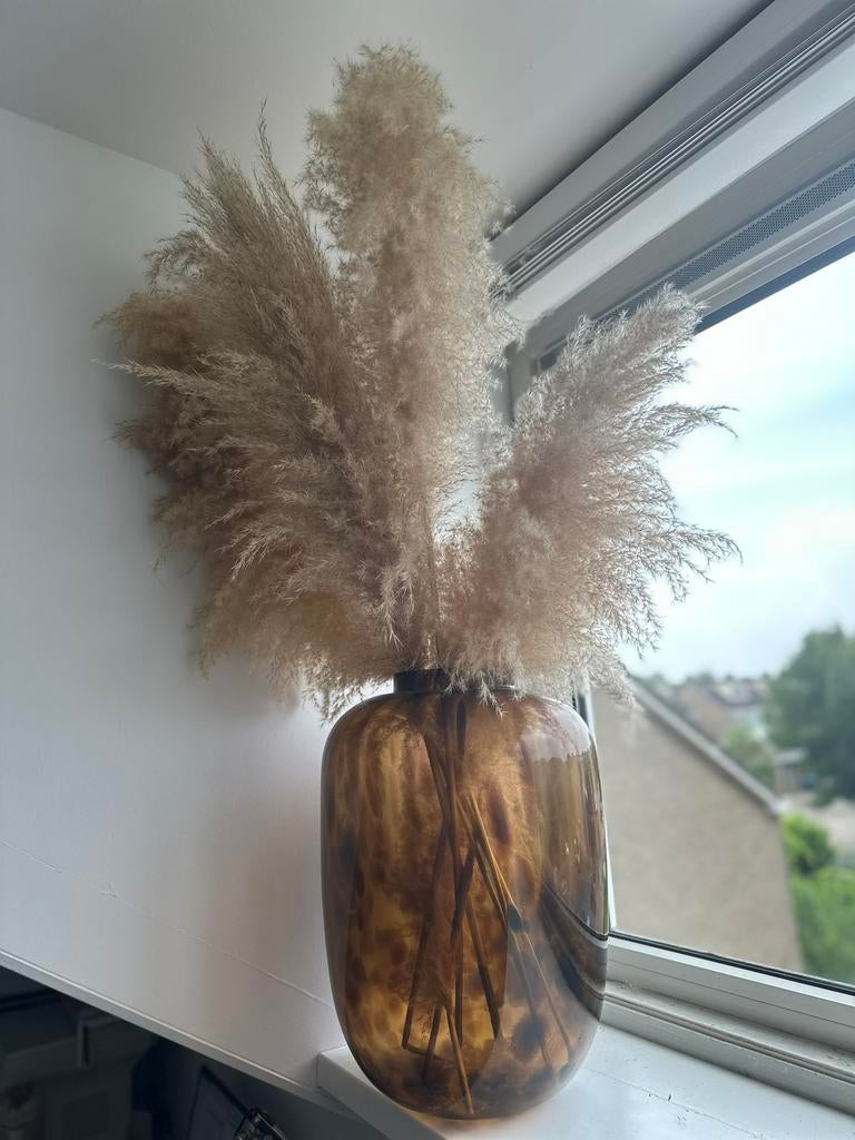 XXL (hoogte: 45 cm) cheetah vaas, Ophalen, Zo goed als nieuw, Overige kleuren, Minder dan 50 cm