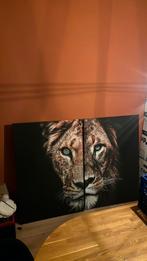 Schilderij leeuw canvas, Antiek en Kunst, Ophalen of Verzenden