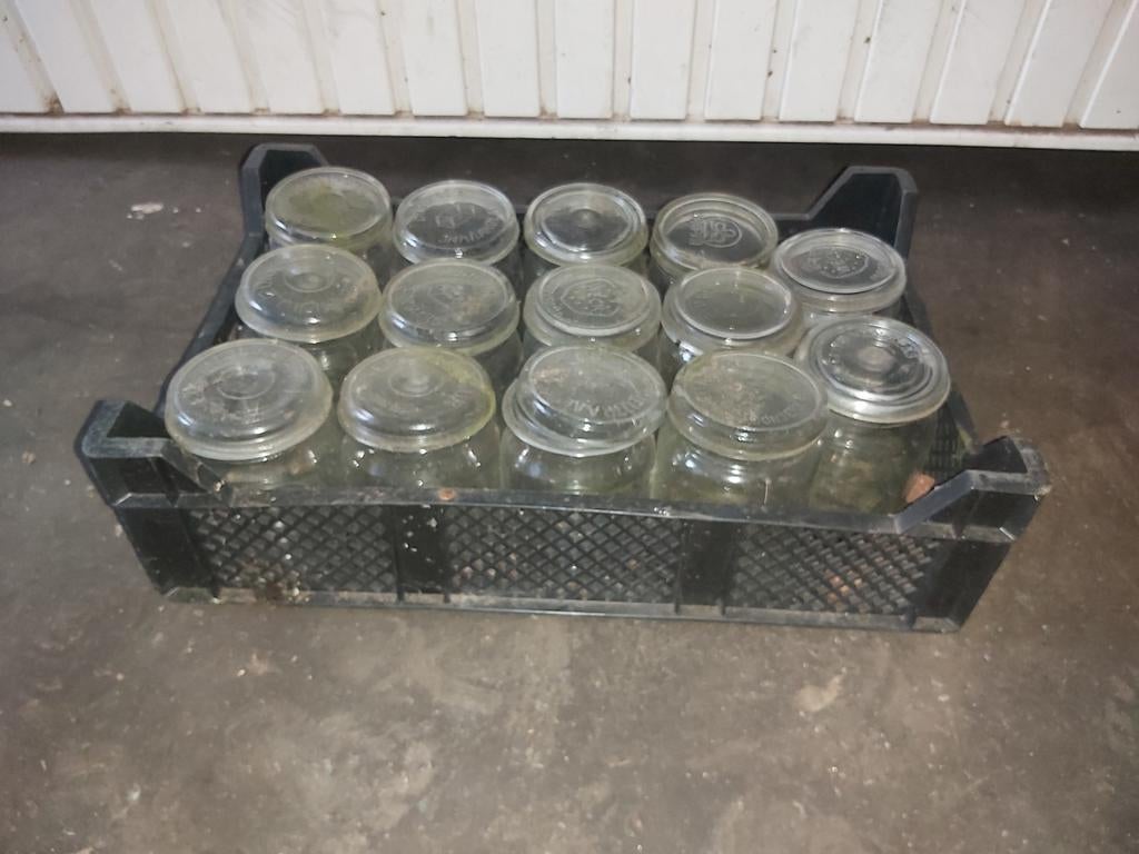 45x Weckfles a 1Liter, (evt per stuk), Ophalen of Verzenden