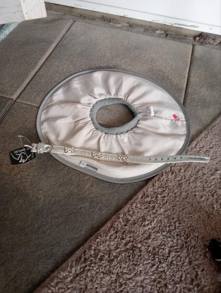 Halsband en kraag voor honden, Ophalen of Verzenden