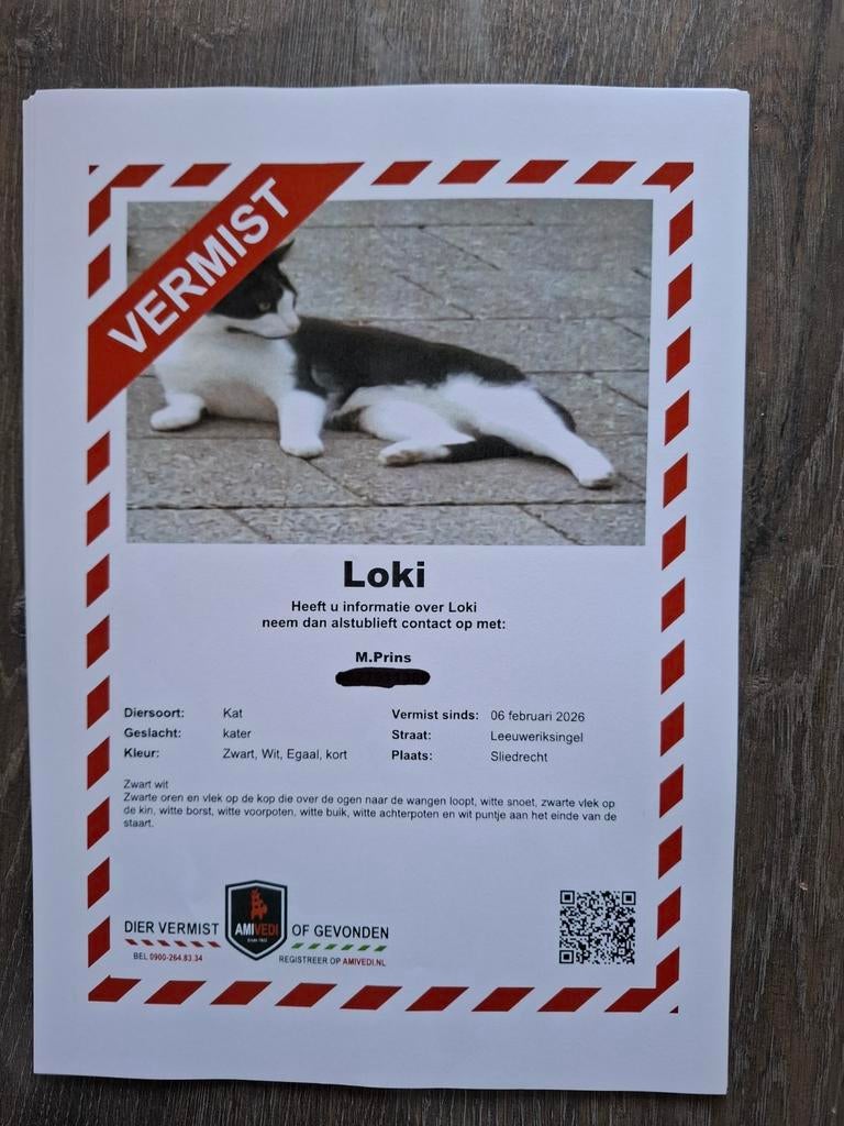 Kat vermist sinds 6 februari 2026, Kat