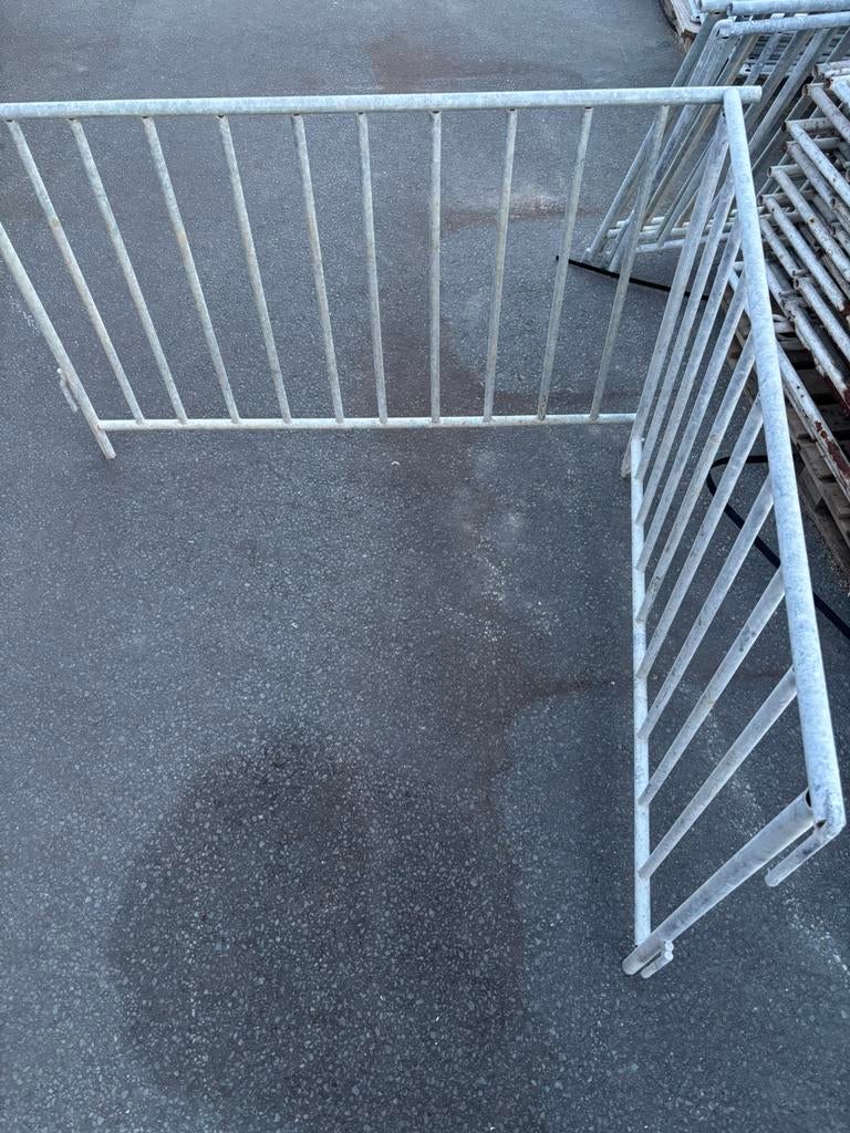 Hekjes, Dieren en Toebehoren, Schapen, Geiten en Varkens, Meerdere dieren, Schaap