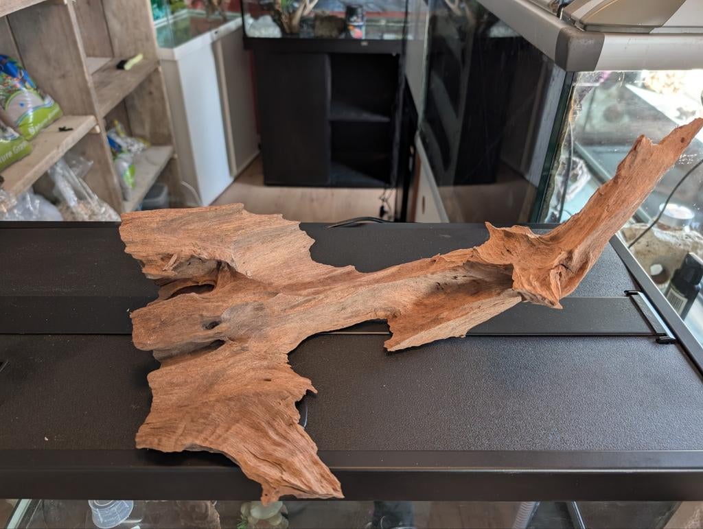 🐠Kienhout aquarium te koop, groot stuk kienhout, Ophalen, Nieuw