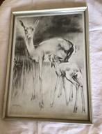 Han van Meegeren, Hert met jong, in lijst, 33x23 cm, Antiek en Kunst, Kunst | Tekeningen en Foto's, Ophalen of Verzenden
