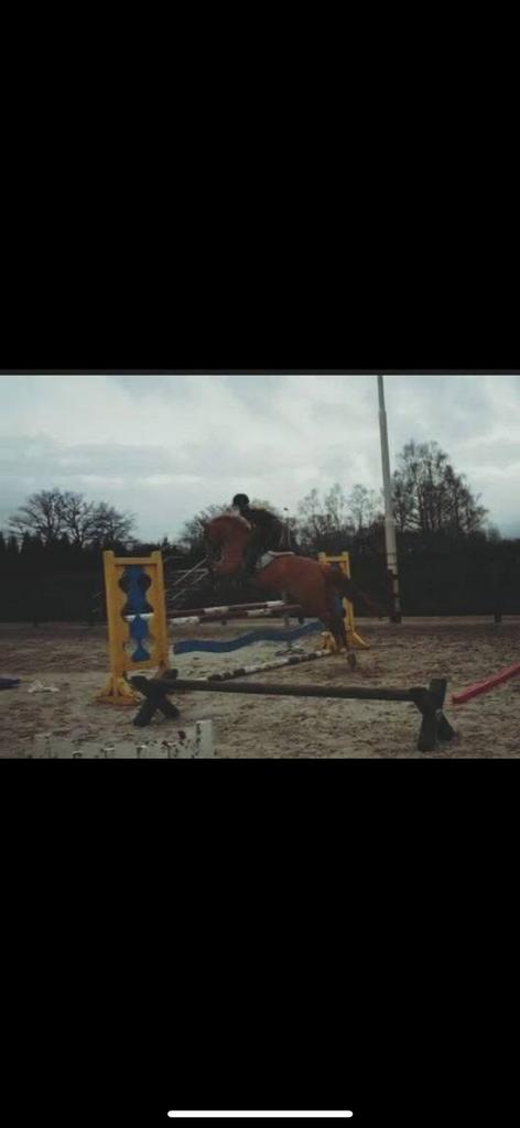 Zadelmak maken/ training/ opleiden en instructie