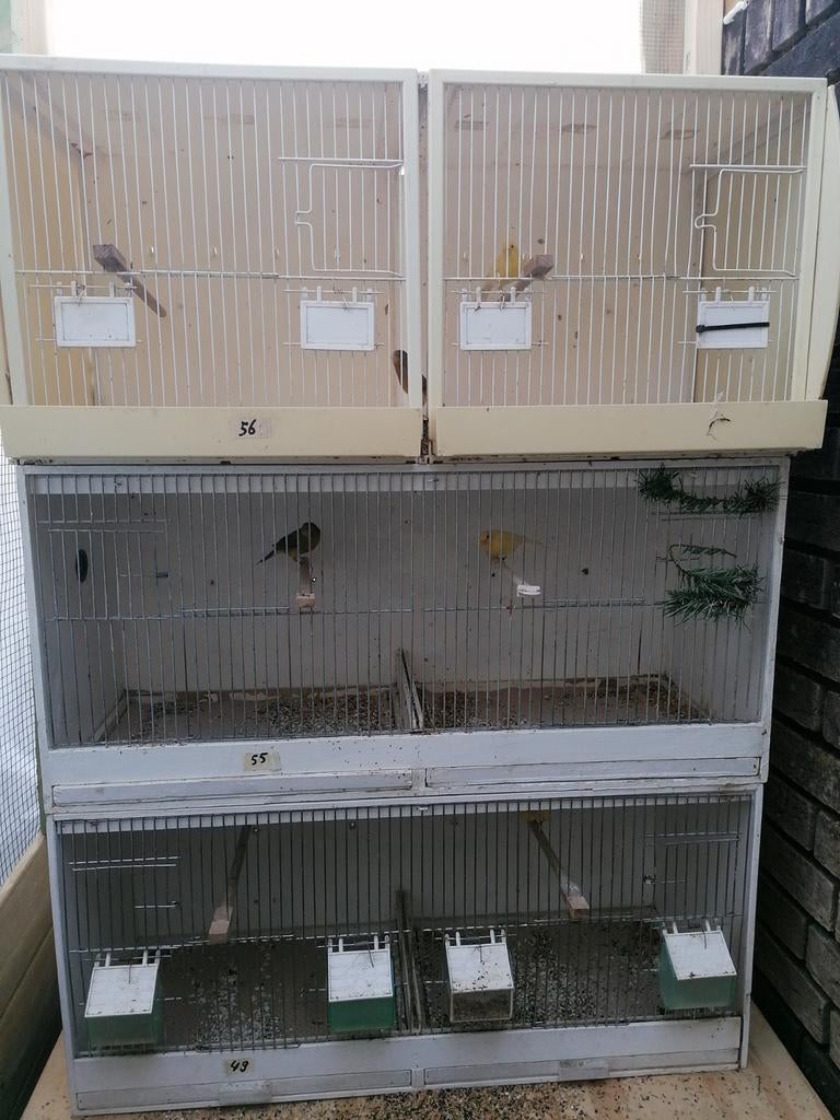 Broedkooien, Ophalen, Gebruikt, Overige materialen, Broedkooi of Kweekkooi