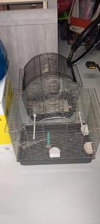 Mooi, Ophalen of Verzenden, Patroon