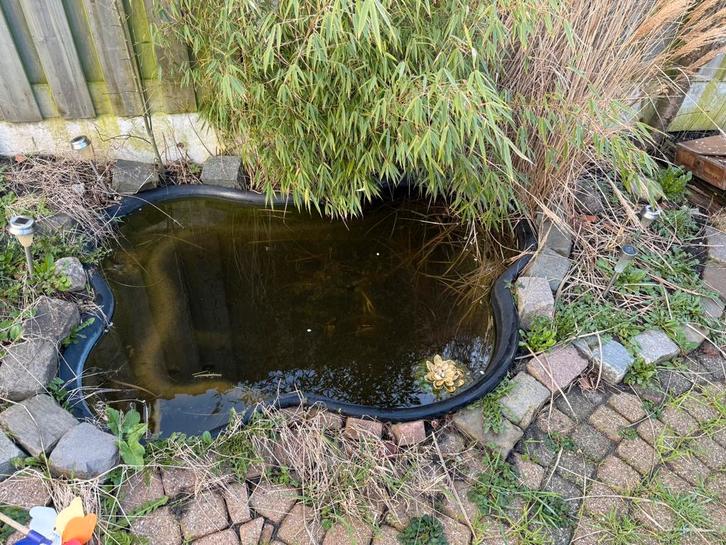 Vijver / Voorgevormde vijver / Tuinvijver, Tuin en Terras, Vijvers, Gebruikt, Ophalen