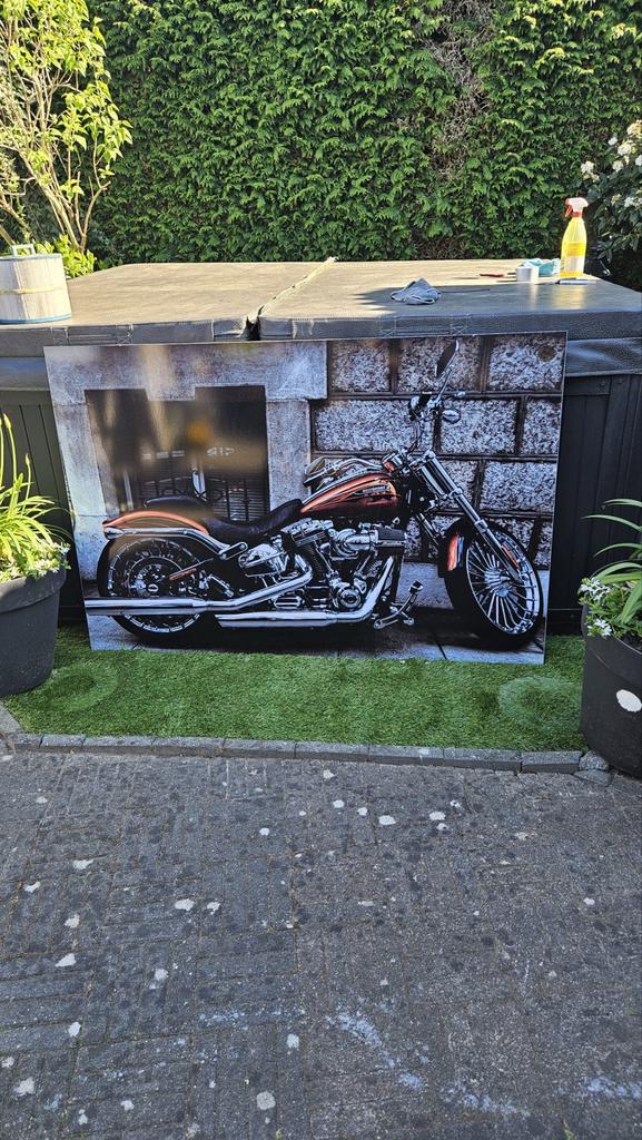 Schilderij Harley Davidson Breakout Rood 3 mm dik, Ophalen of Verzenden, Zo goed als nieuw, Schilderij, 100 tot 125 cm
