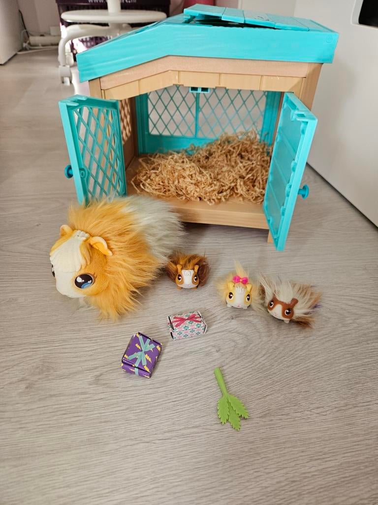 Cavia hok Little live pets, Ophalen of Verzenden, Zo goed als nieuw, Jongen of Meisje