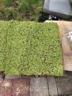 Silka  mat 1x1 meter 3x, Tuin en Terras, Gras en Kunstgras, Ophalen of Verzenden