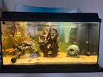 Compleet draaiend aquarium juwel primo 110 met primolux 80, Dieren en Toebehoren, Ophalen, Zo goed als nieuw, Gevuld zoetwateraquarium