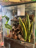 Terrarium 50x50x70, Ophalen, Gebruikt