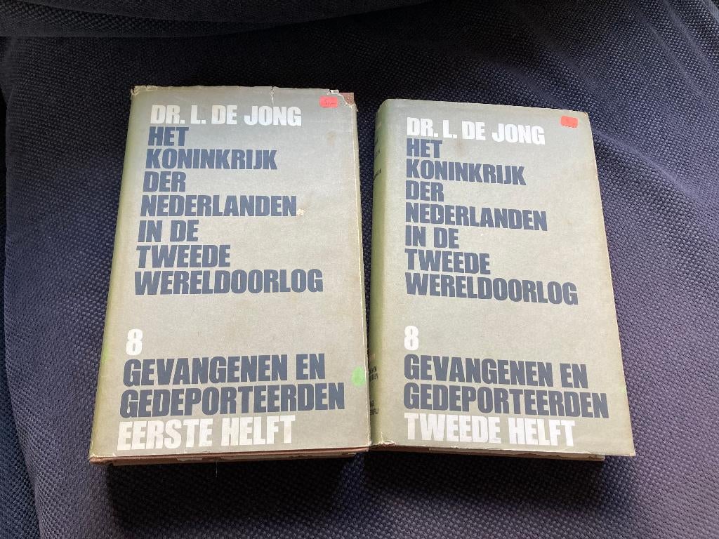 🇳🇱 Dr. L. de Jong - Het koninkrijk der Nederlanden in WO2, Boeken, Oorlog en Militair, Ophalen of Verzenden, Voor 1940, Gelezen