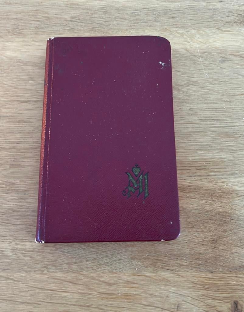 Kerkboekje De Hoop de Hopelozen Heilig Hart Basiliek Sittard, Ophalen of Verzenden, Gebruikt, Boek, Christendom | Katholiek