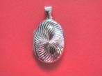 Mooi en Apart Ovaal Zilveren Medaillon, Sieraden, Tassen en Uiterlijk, Antieke sieraden, Verzenden, Zilver, Hanger