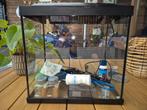 Aquarium compleet., Dieren en Toebehoren, Ophalen of Verzenden, Gebruikt, Leeg aquarium