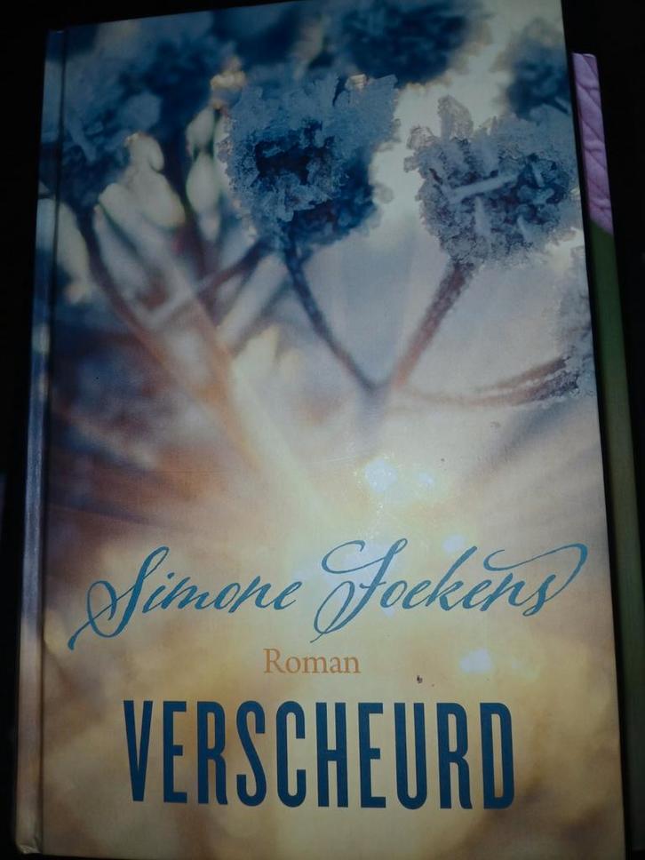 Simone Foekens - Verscheurd, Boeken, Streekboeken en Streekromans, Zo goed als nieuw, Noord-Brabant, Ophalen of Verzenden
