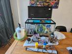 Aquarium met spuilen 60l. Buiten filter Eco flow 120, Ophalen, Leeg aquarium