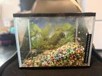 Aquarium (31*19*22), Dieren en Toebehoren, Vissen | Aquaria en Toebehoren, Ophalen of Verzenden, Leeg aquarium