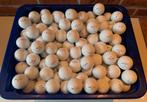 200 Golfballen Bullet. (Als) nieuw!, Ophalen of Verzenden, Zo goed als nieuw, Bal(len), Overige merken