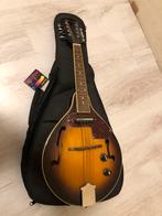 Richwood mandoline met draag tas, Muziek en Instrumenten, Zo goed als nieuw, Ophalen