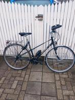 Koga Miyata [50cm] Lady Randoneur Nette Staat., Ophalen, Gebruikt, Overige typen