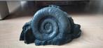 Ammoniet Fossiel uit Oslo, Verzamelen, Ophalen of Verzenden, Fossiel