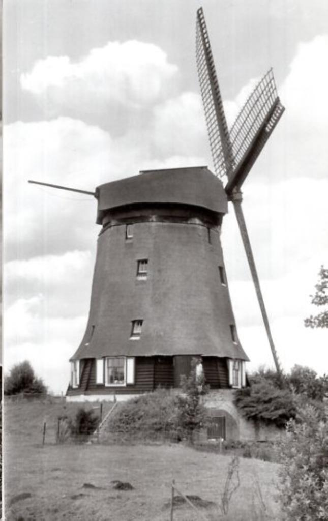 (NH553) Ansichtkrt Zuid-en Noordschermer molen De Havik 1973, Verzamelen, Ansichtkaarten | Nederland, Ongelopen, Noord-Holland