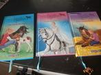 Droom paarden boek tieners, Boeken, Kinderboeken | Jeugd | 10 tot 12 jaar, Ophalen of Verzenden, Zo goed als nieuw