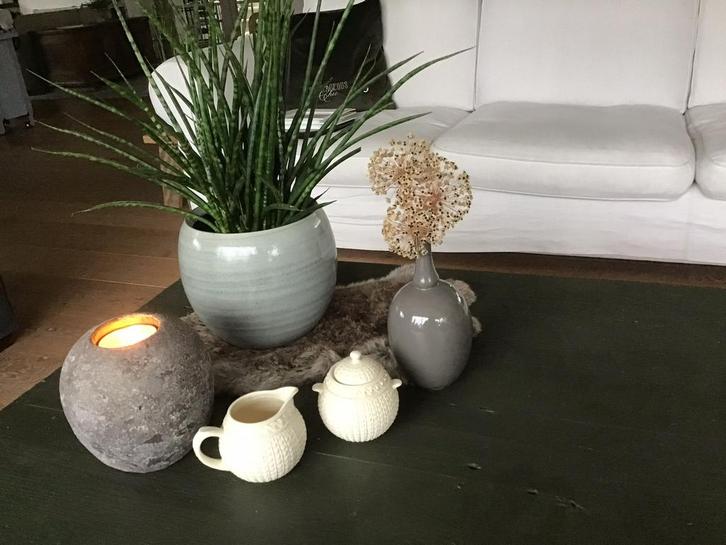 Een SCHITTEREND melkkannetje + suikerpotje!, Huis en Inrichting, Woonaccessoires | Overige, Zo goed als nieuw, Ophalen of Verzenden