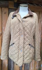 ABACUS count on it quilted winterjas maat L, Ophalen of Verzenden, Zo goed als nieuw