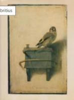 Carel Fabritius, Ophalen of Verzenden, Zo goed als nieuw, Schilder- en Tekenkunst, Christopher Brown