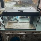 Aquarium / Terrarium, Ophalen, Gebruikt, Leeg aquarium