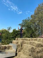 Hooi, Ophalen of Verzenden