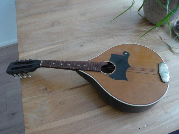 mandoline jaren '60, Muziek en Instrumenten, Snaarinstrumenten | Mandolines, Gebruikt, Ophalen of Verzenden