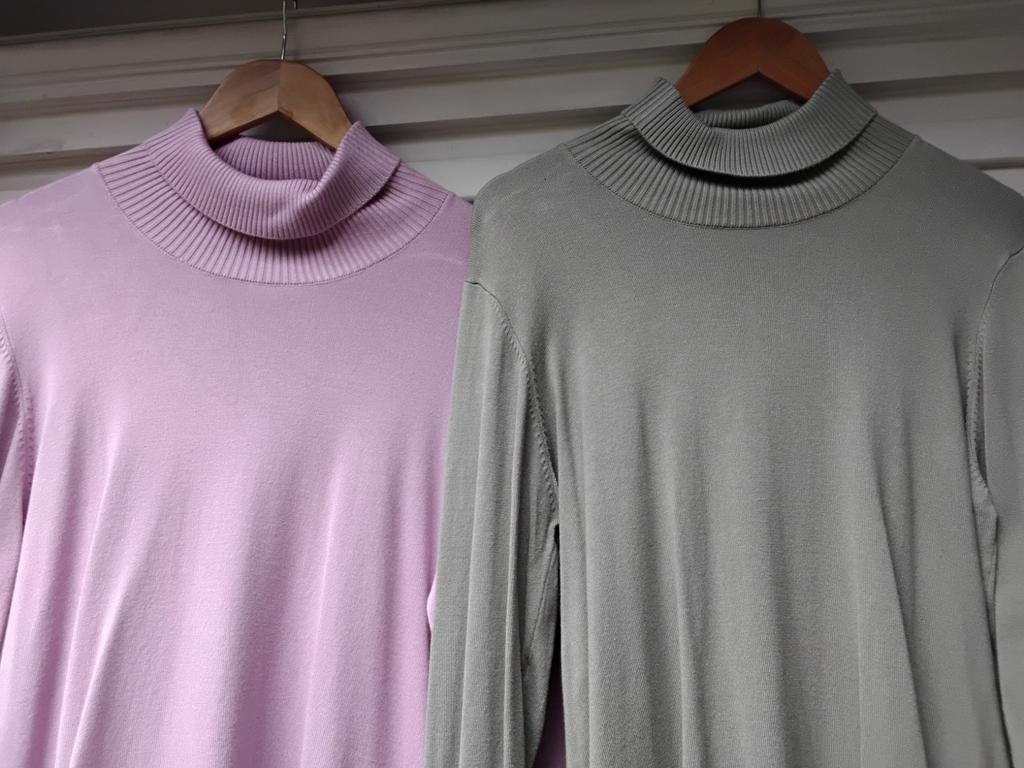 Nieuw; 2 dunne coltrui in zachte kleuren, Maat 42/44 (L), Nieuw, Ophalen of Verzenden, Onbekend