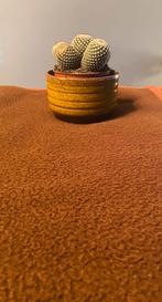 Prachtige Warme Deken, Huis en Inrichting, Woonaccessoires | Plaids en Woondekens, Ophalen of Verzenden