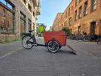 2dehands Hondenbakfiets-E met certificaat en upgrade, 4 kinderen of meer, Info@babboe.nl, Ophalen of Verzenden, Zo goed als nieuw