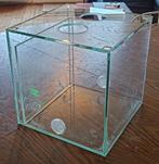 Antcube 20x20cm. Formicarium/Terrarium glas, Ophalen, Zo goed als nieuw