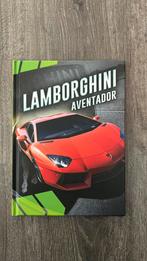 Calvin Cruz - Lamborghini Aventador, Ophalen of Verzenden, Zo goed als nieuw, Calvin Cruz