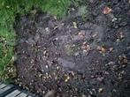 Aarde/ grond/ het gras, Tuin en Terras, Aarde en Mest, Ophalen, Tuinaarde