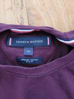 TOMMY HILFIGER paarse longsleeve shirt maat xs izgst, Kleding | Heren, T-shirts, Paars, Tommy Hilfiger, Ophalen of Verzenden, Zo goed als nieuw