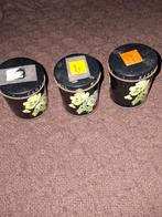 Retro blikjes, Verzamelen, Blikken, Ophalen of Verzenden, Overige