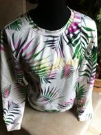 Dames truitje elastisch coolcat mt L, Kleding | Dames, Maat 38/40 (M), Overige kleuren, Ophalen of Verzenden, Zo goed als nieuw