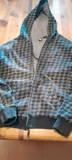 D&G Hoodie, Ophalen of Verzenden, Zo goed als nieuw, Dolce & Gabbana