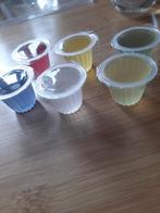 Fruitcups vogels, Dieren en Toebehoren, Meerdere dieren