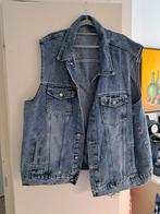 Spijker Gilet 4XL, Ophalen, Zo goed als nieuw, Gillit