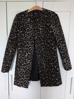 Panterprint jas, Ophalen of Verzenden, Zo goed als nieuw, Maat 34 (XS) of kleiner, Bruin